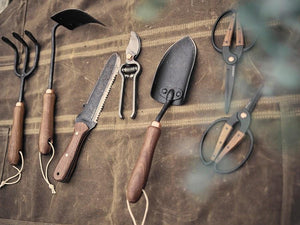 Garden Tools and Gloves
