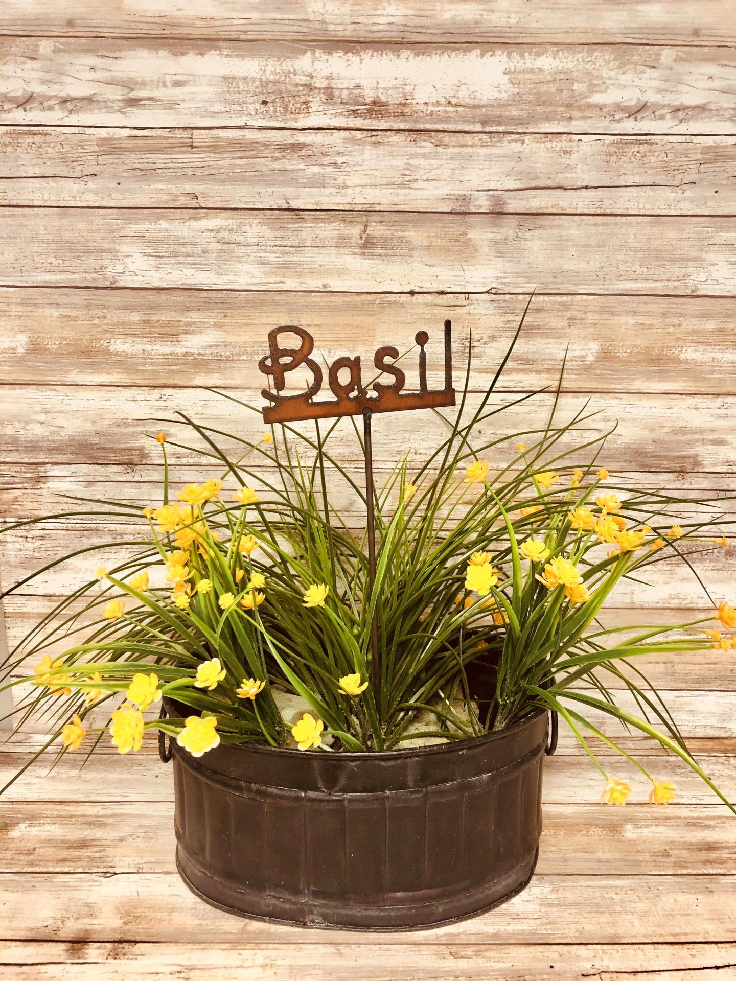 Basil Iron Plant Stake