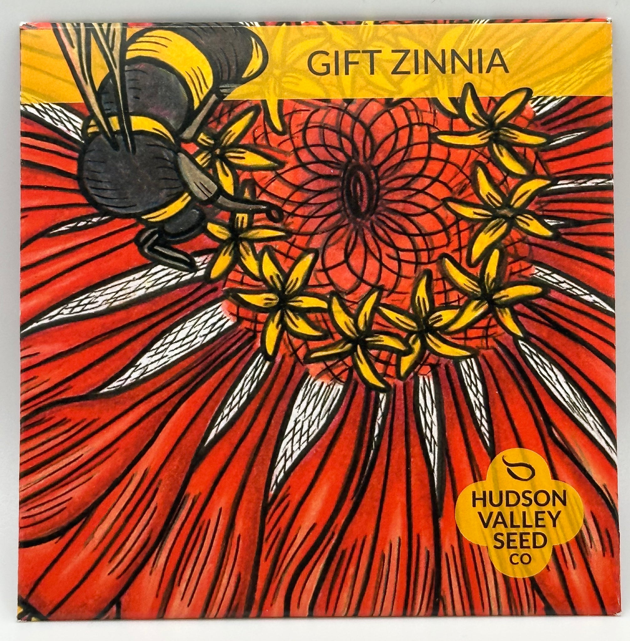 Gift Zinnia