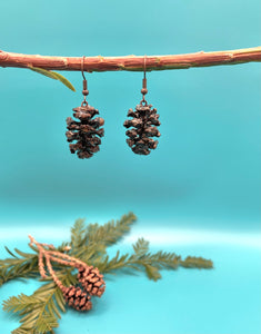 Real Redwood Pine Cone Earrings